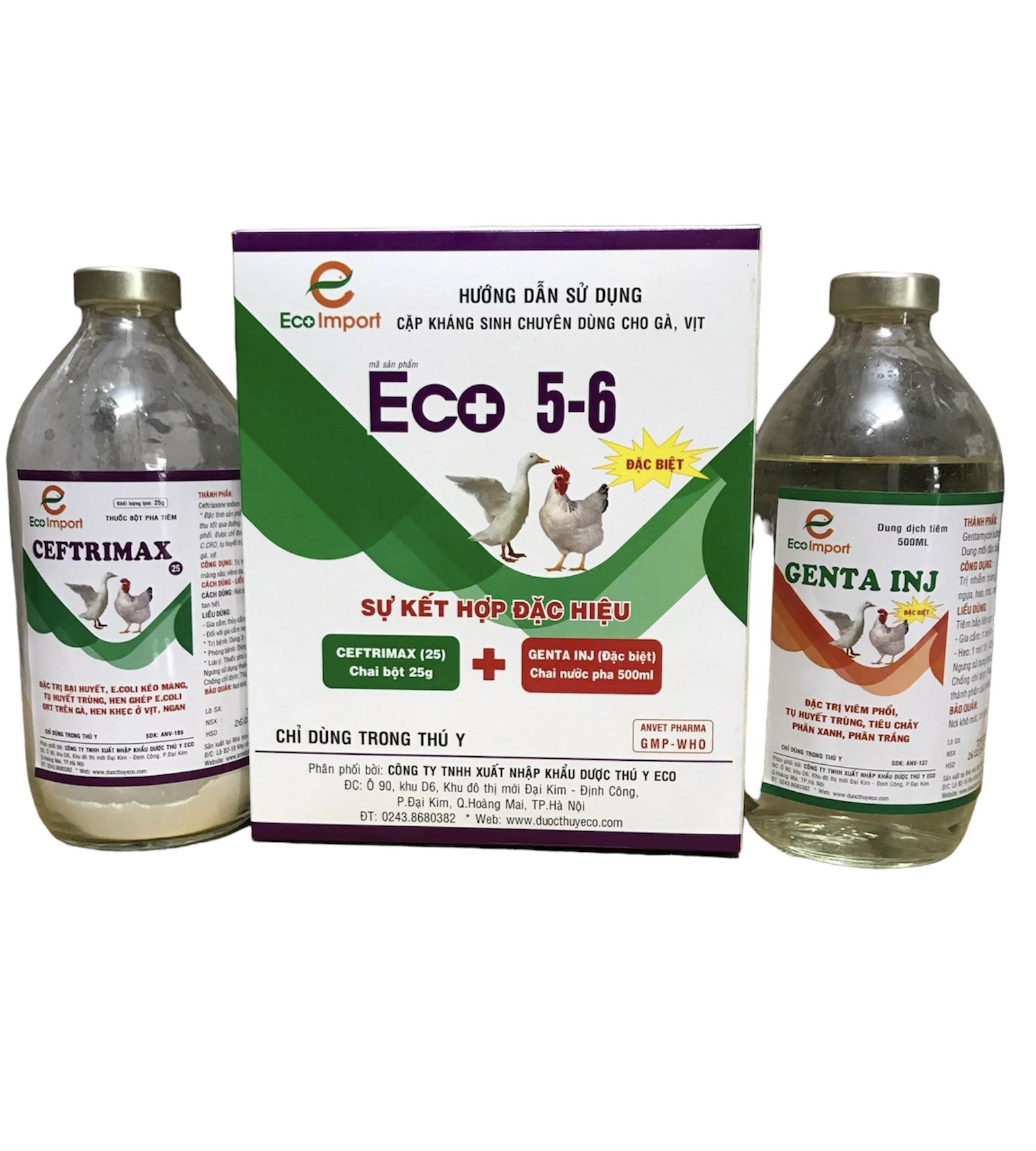 ECO 56